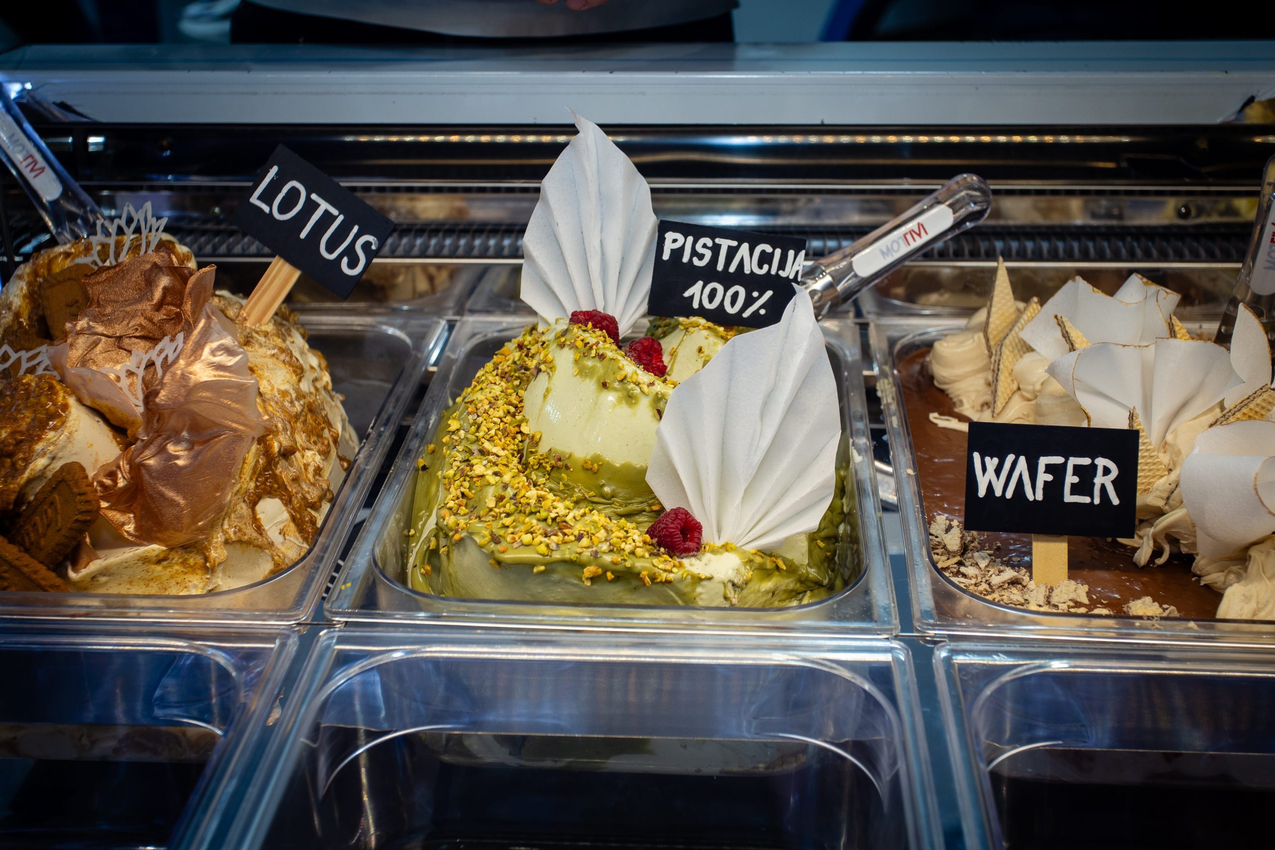 Photo and video gallery 2026